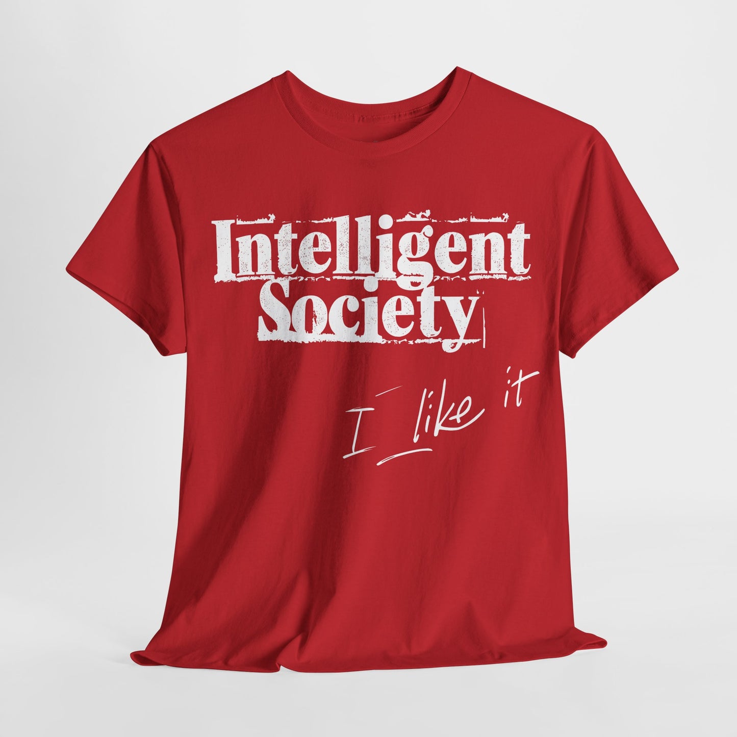 Intelligent Society 'I Like It'