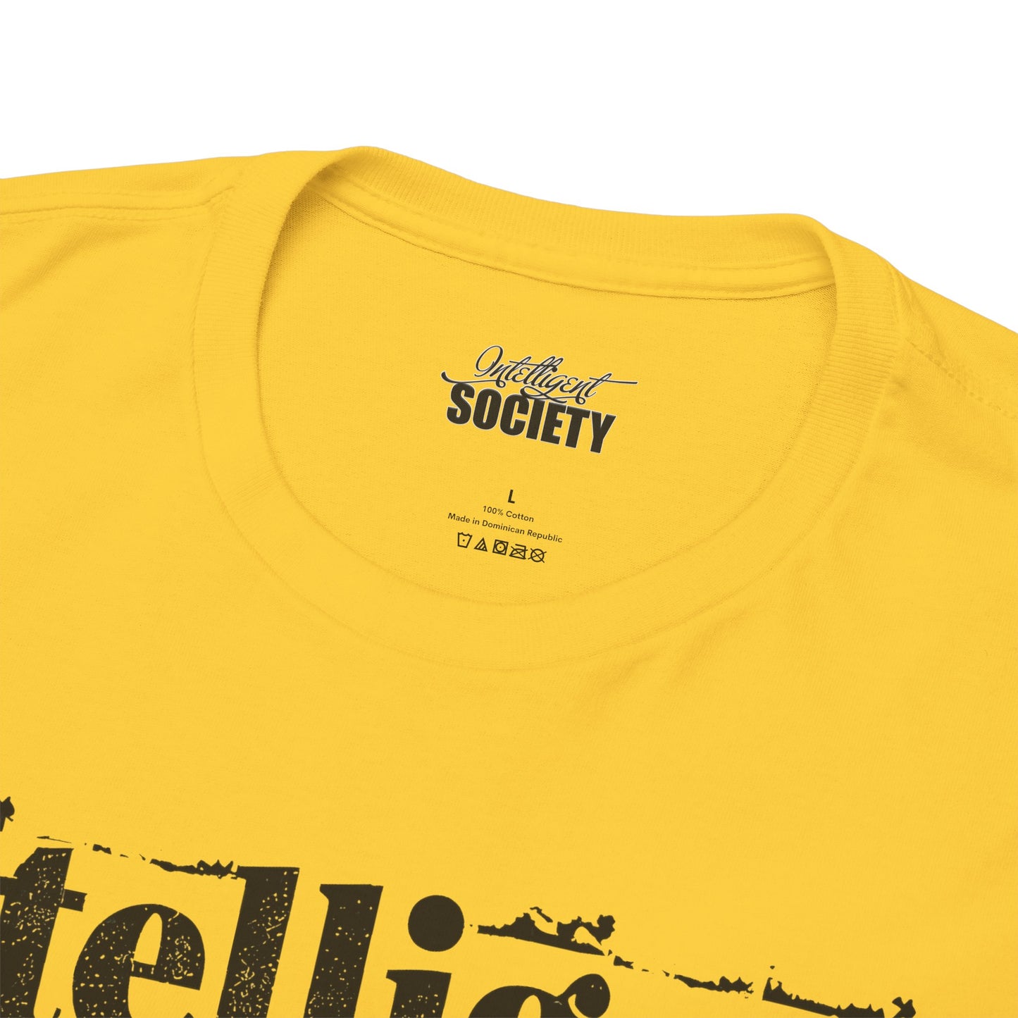 Intelligent Society 'I Like It'