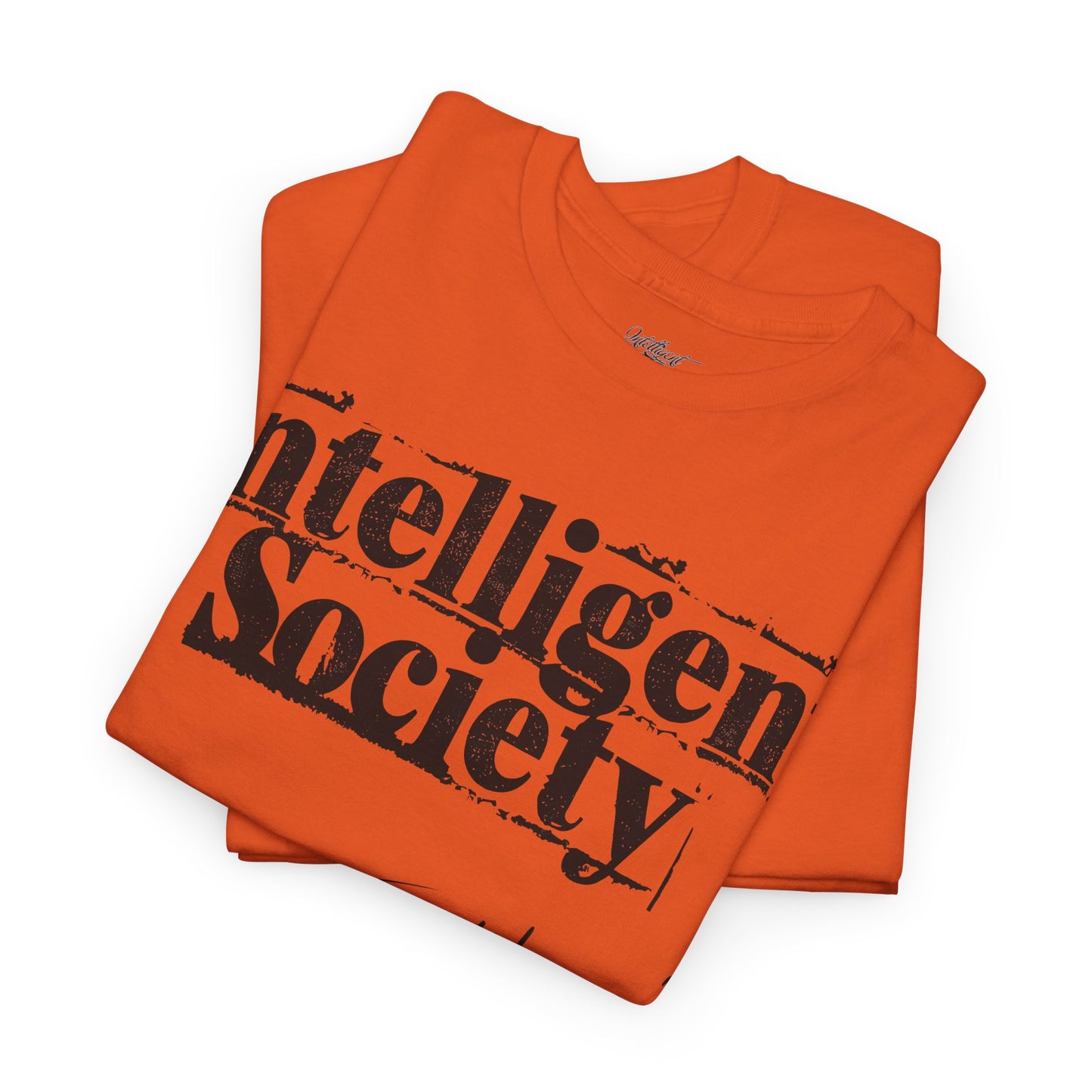Intelligent Society 'I Like It'
