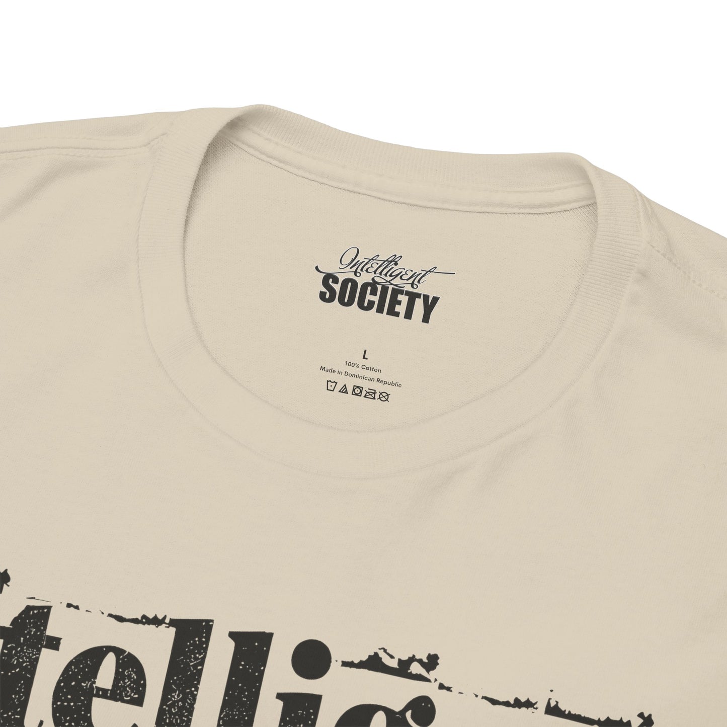 Intelligent Society 'I Like It'