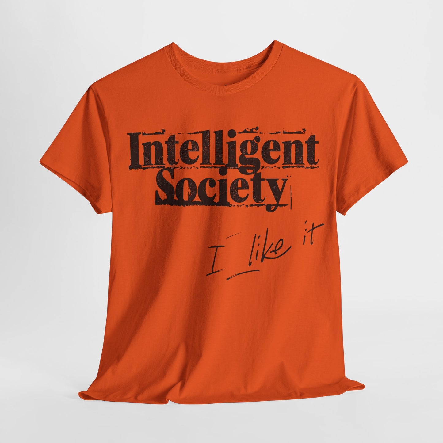 Intelligent Society 'I Like It'