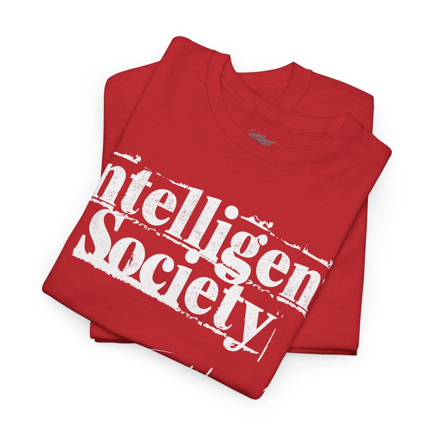 Intelligent Society 'I Like It'