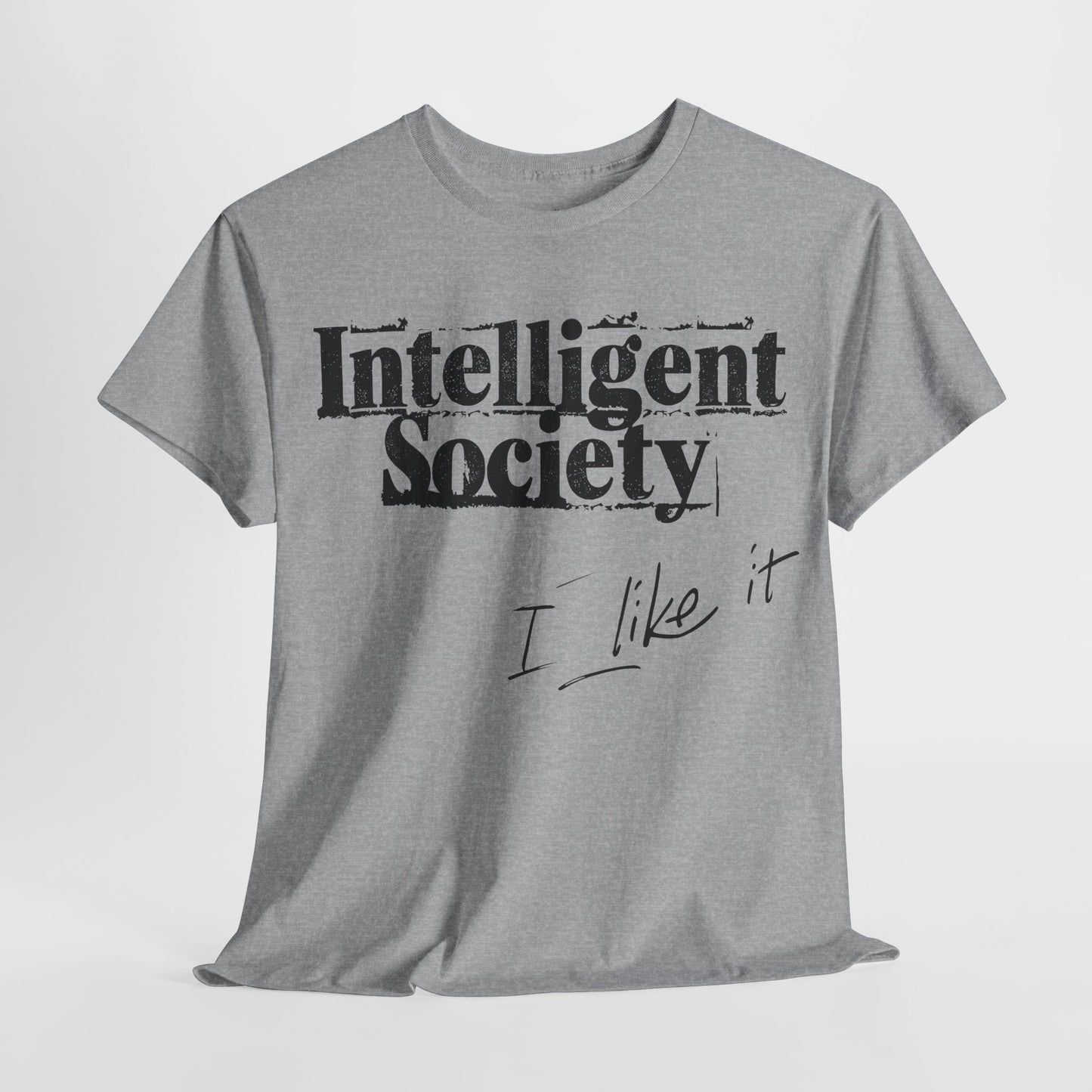 Intelligent Society 'I Like It'