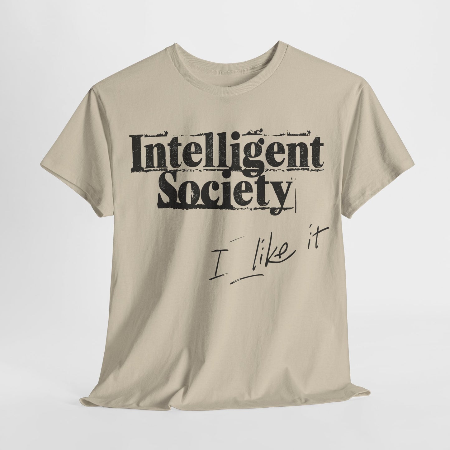 Intelligent Society 'I Like It'