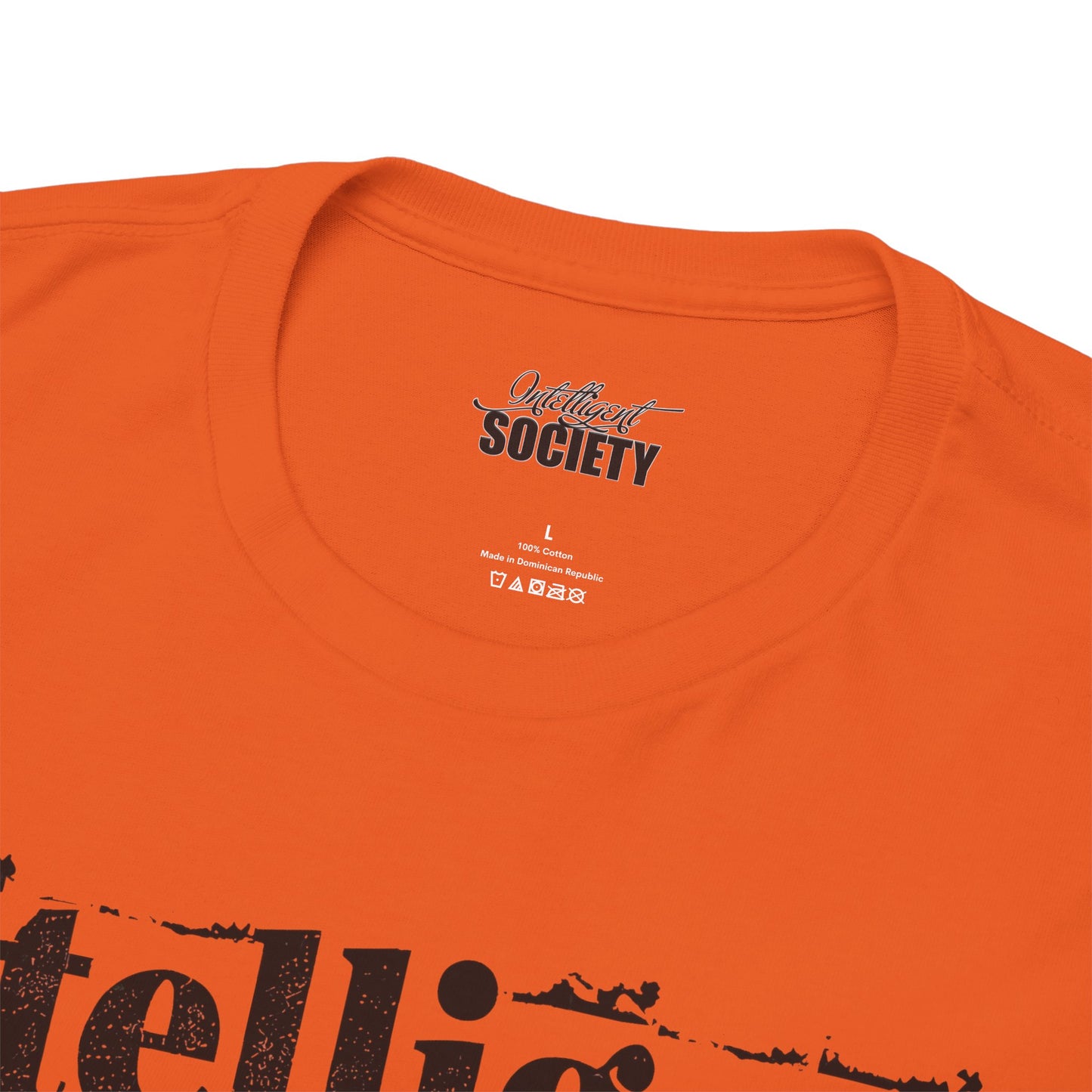 Intelligent Society 'I Like It'