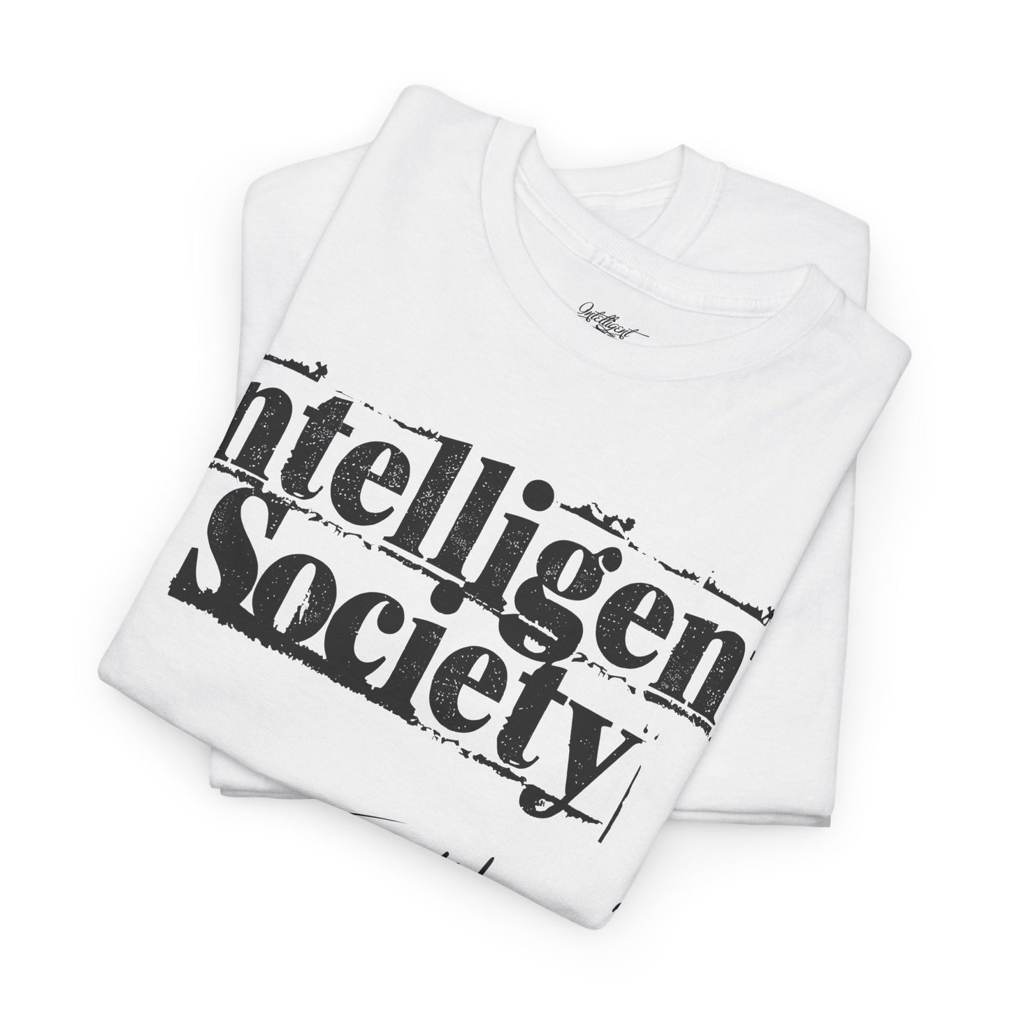 Intelligent Society 'I Like It'