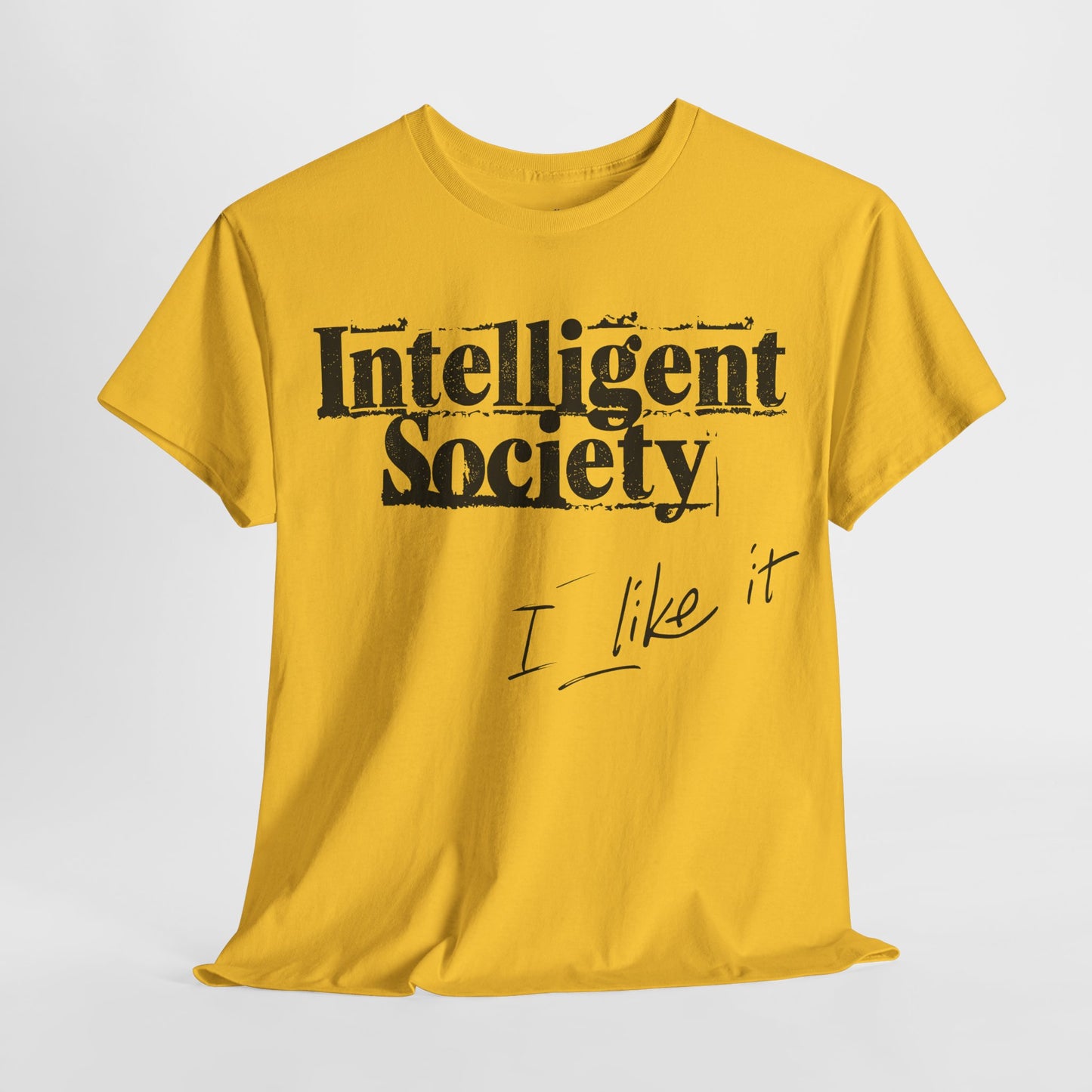 Intelligent Society 'I Like It'