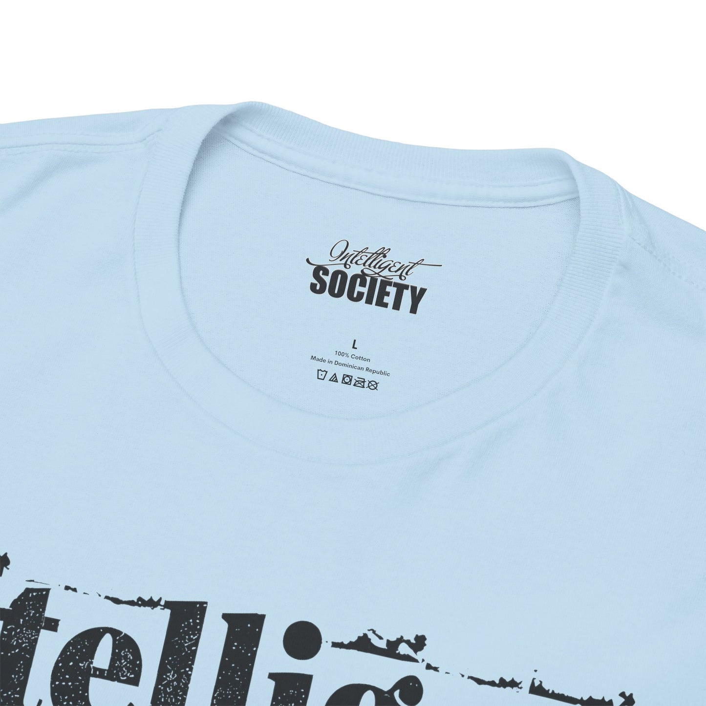 Intelligent Society 'I Like It'