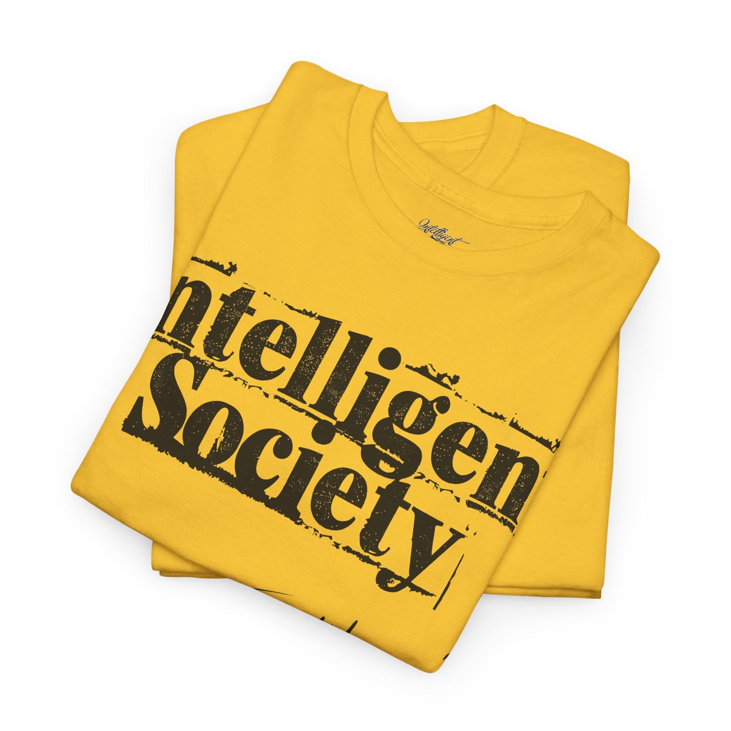 Intelligent Society 'I Like It'