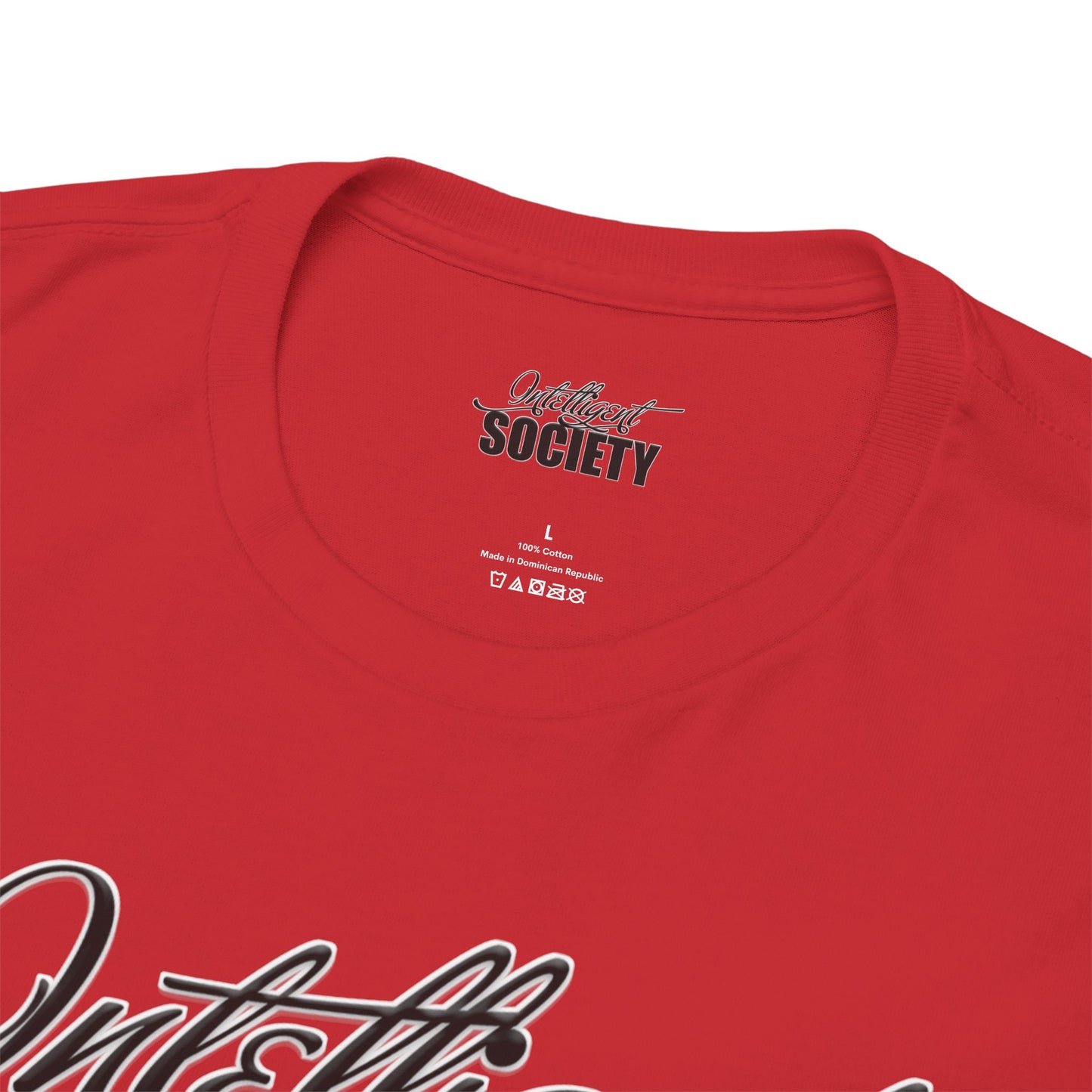 Intelligent Society Logo