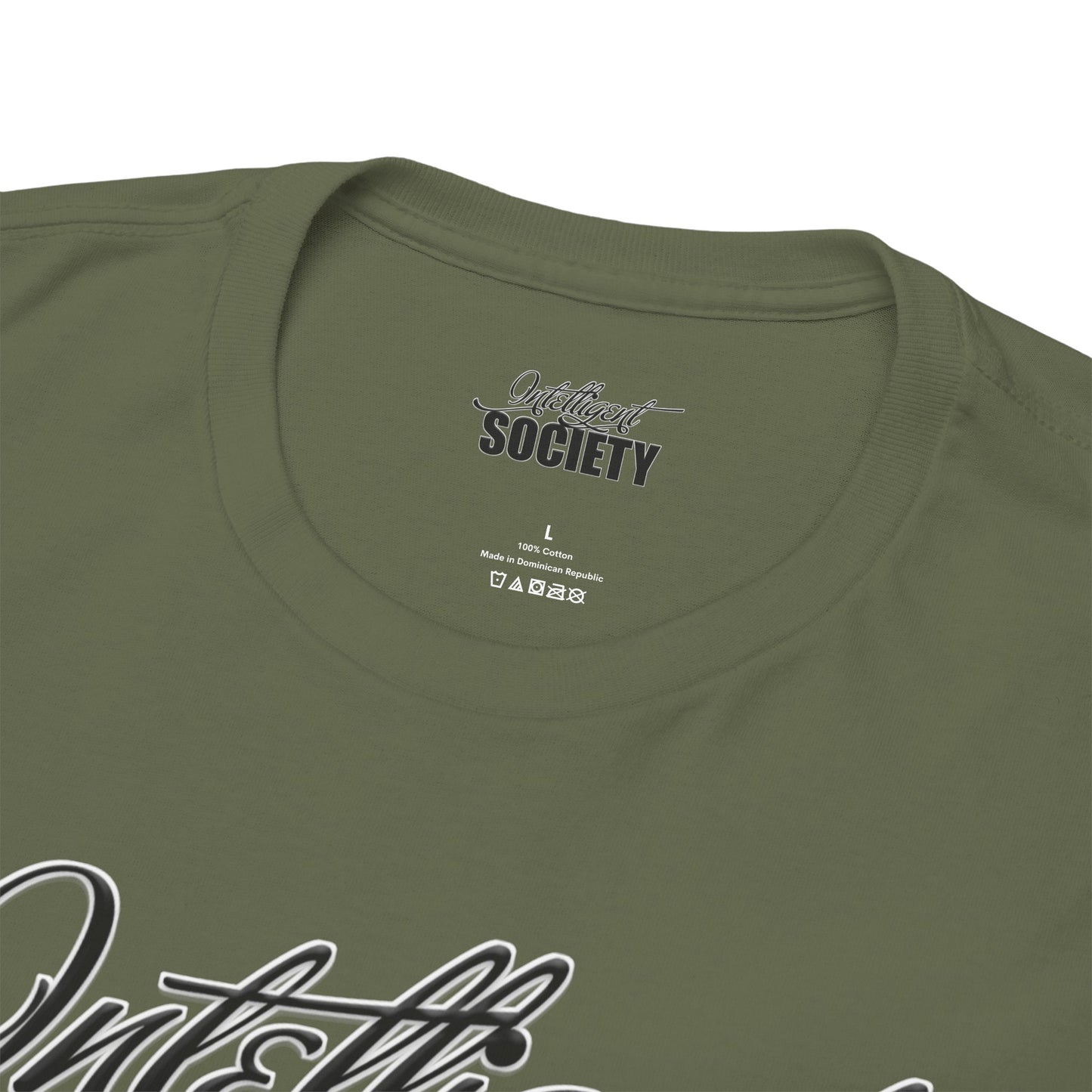 Intelligent Society Logo