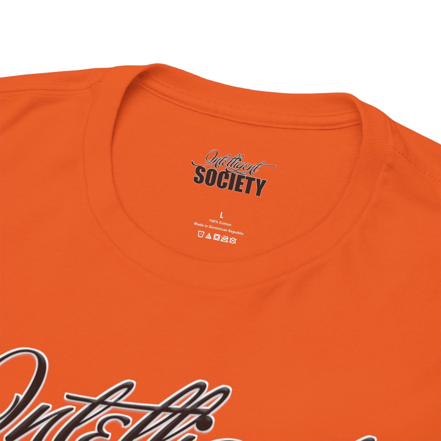 Intelligent Society Logo