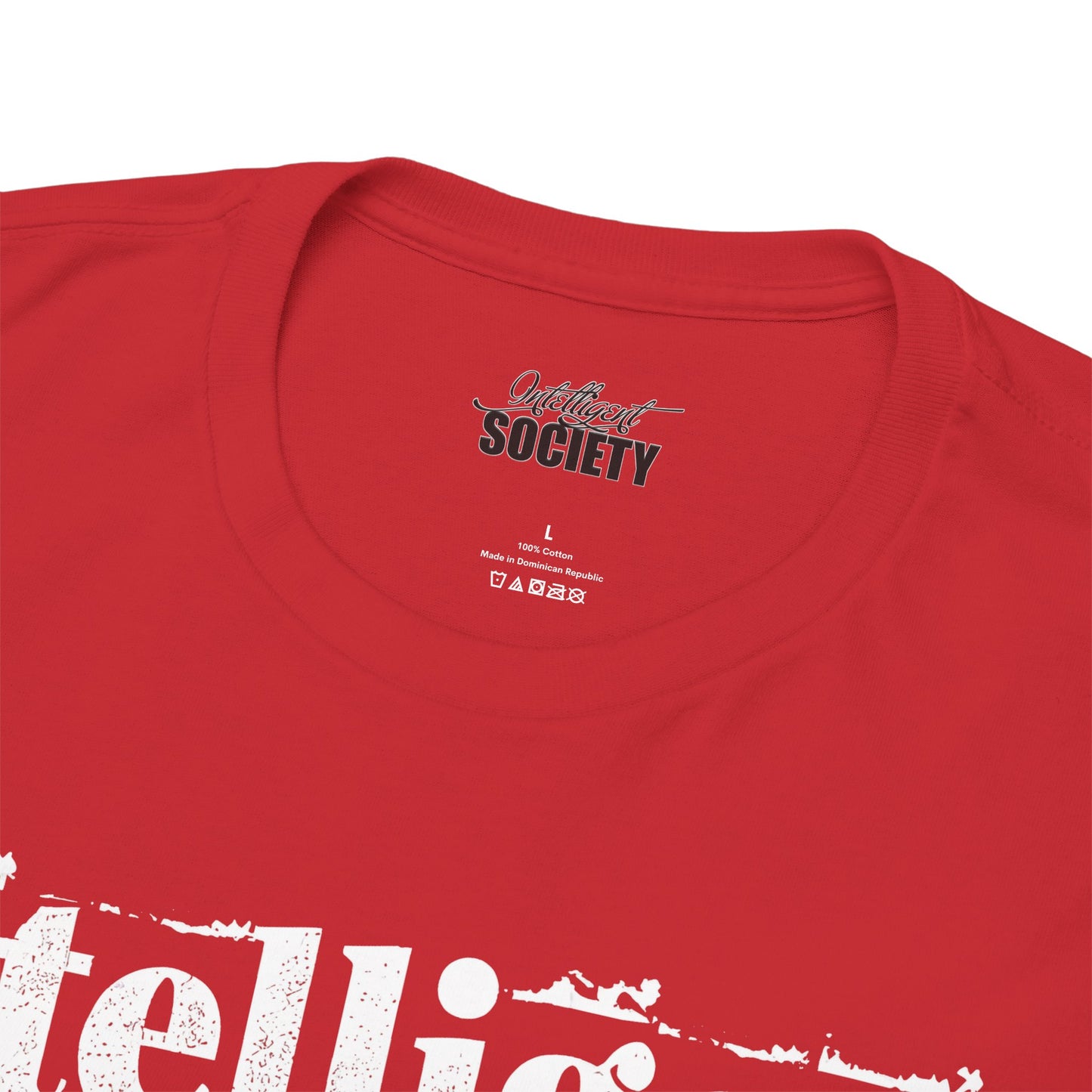 Intelligent Society 'I Like It'
