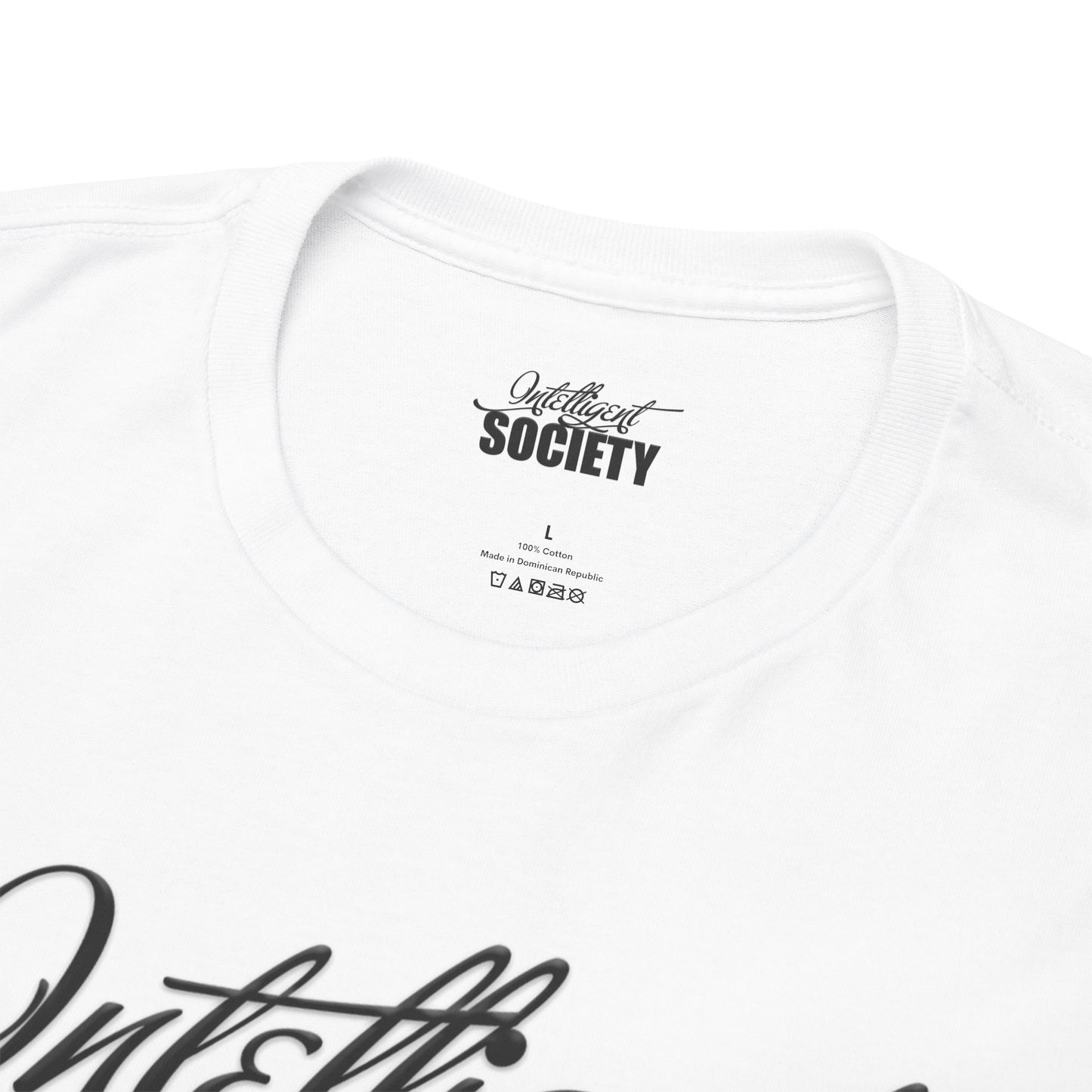 Intelligent Society Logo